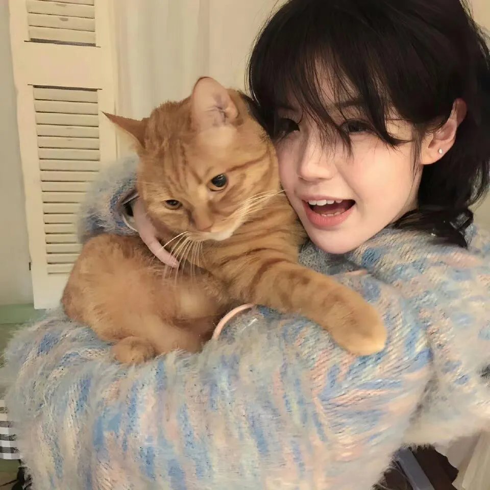 猩红诊所